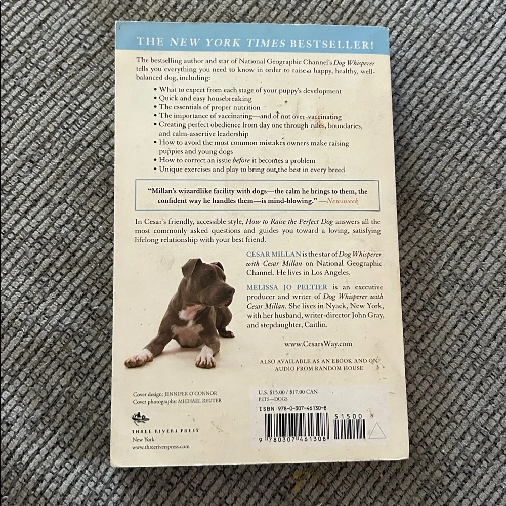 Cesar Millan book How to Raise the Perfect Dog puppyhood and beyond paperback